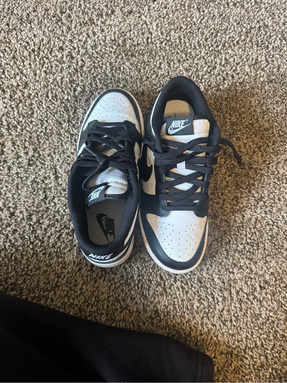 Panda Dunks